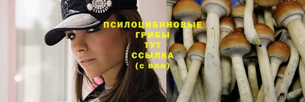 амф Балахна