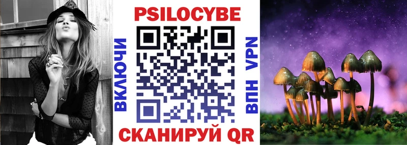 Псилоцибиновые грибы Psilocybine cubensis Тейково